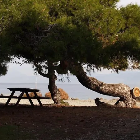 με θέα στον πευκιά *