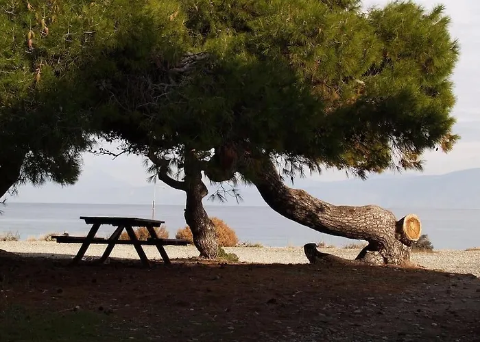 με θέα στον πευκιά *